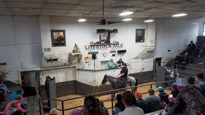 Sugarcreek Stockyard: Your Trusted Partner in Livestock Business